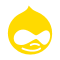 Drupal Developer